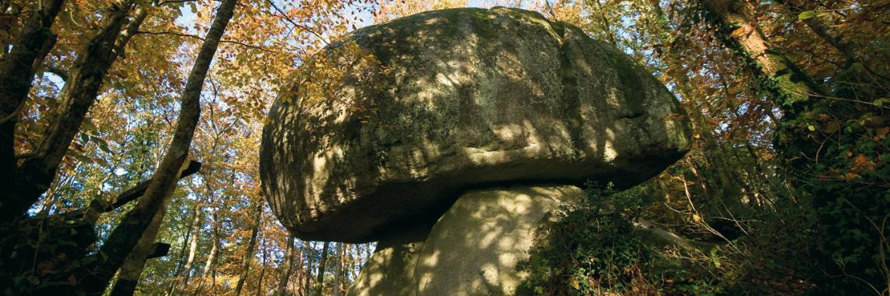 Chambre D'Hotes De La Roche Tremblante Уегоа Екстериор снимка